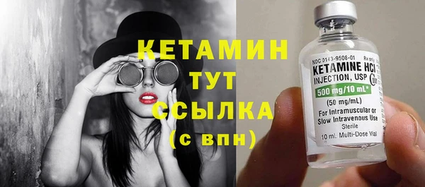 трава Сатка
