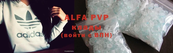 бошки Белокуриха
