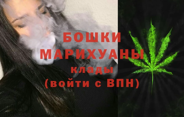 бошки Белокуриха