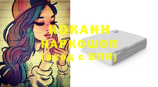 бошки Белокуриха